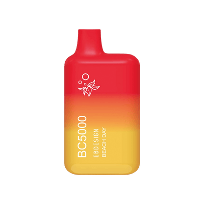 Elf Bar BC5000 Disposable Vape | 5% Nicotine Beach Day  