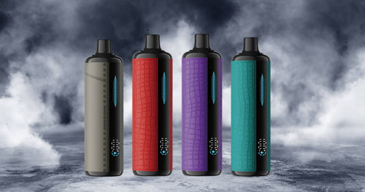 Lost Mary X Urban Tale E-hookah Vape In-Depth Review