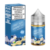 Custard Monster Salt Nicotine Vape Juice - Blueberry Custard