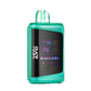 Raz DC25000 Disposable Vape Jewel Spearmint  