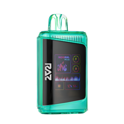 Raz DC25000 Disposable Vape Jewel Spearmint  