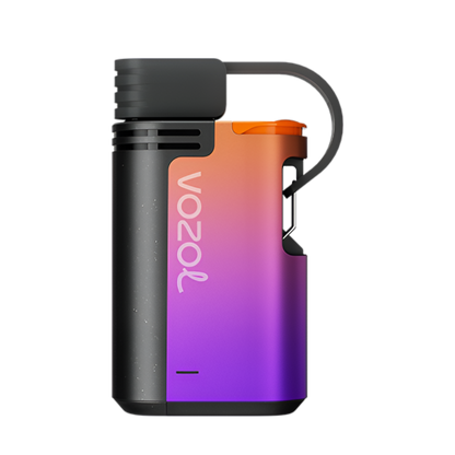 Vozol Gear 4000 Disposable Vape Forest Berry Storm  