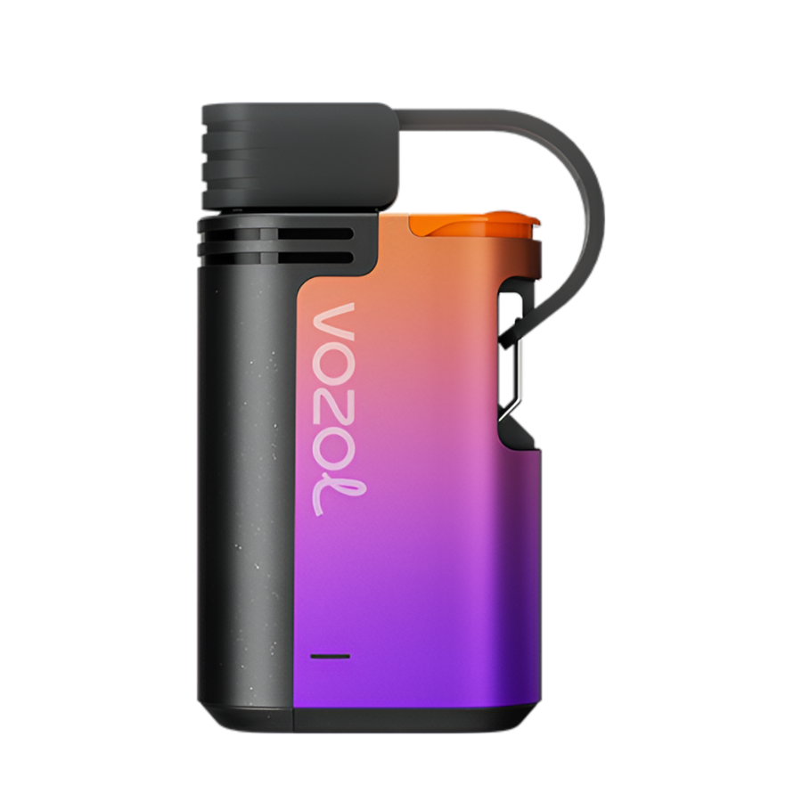 Vozol Gear 6000 Disposable Vape Grape Ice  