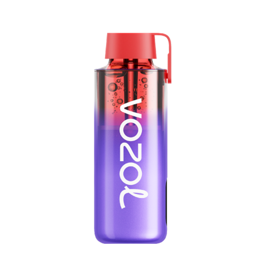 Vozol Neon 10000 Disposable Vape | 0, 2, 5% Nic in 19 Flavors Vozol Neon 10000 Disposable Vape | 0, 2, 5% Nic in 19 Flavors